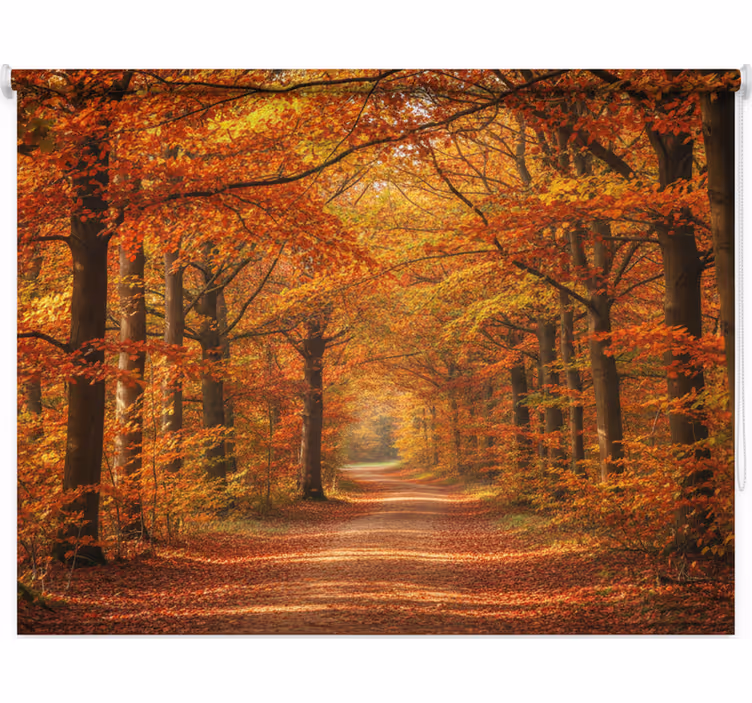 Store enrouleur arbre chemin d'automne - TenStickers