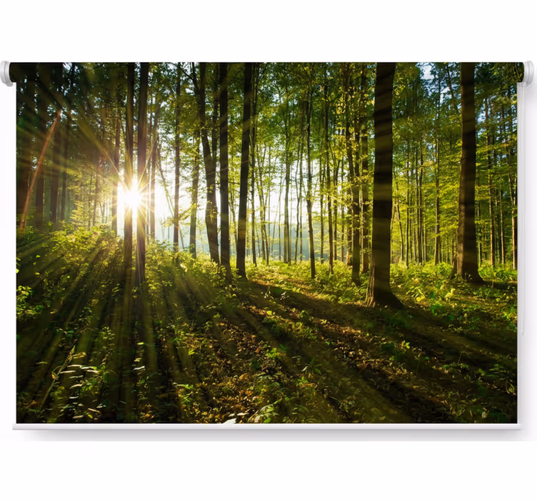 Store enrouleur arbre forêt de rayons dorés - TenStickers