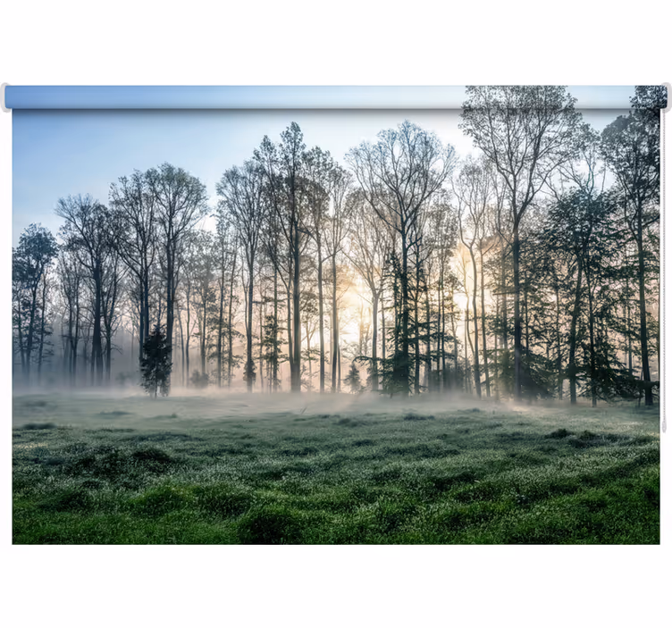 Store enrouleur arbre pré matin brumeux - TenStickers