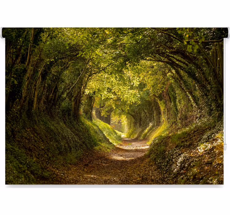 Store enrouleur arbre murale forêt immersive - TenStickers