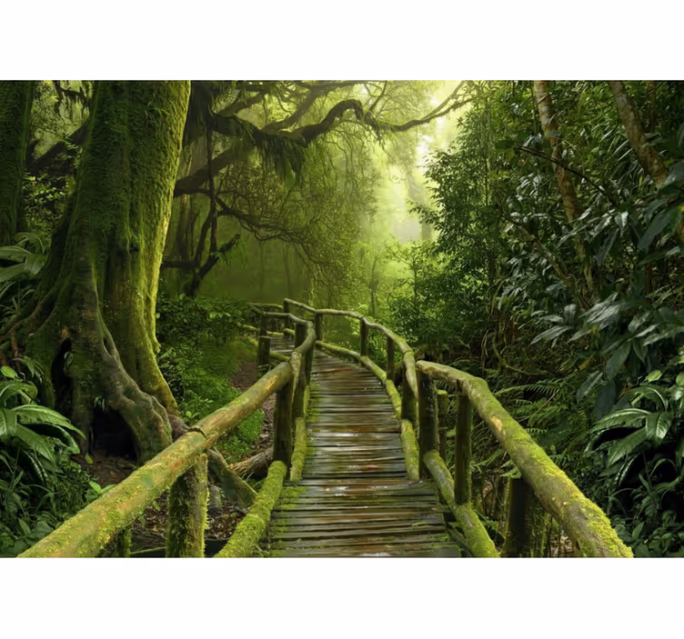 Store enrouleur arbre chemin en mousse luxuriante - TenStickers