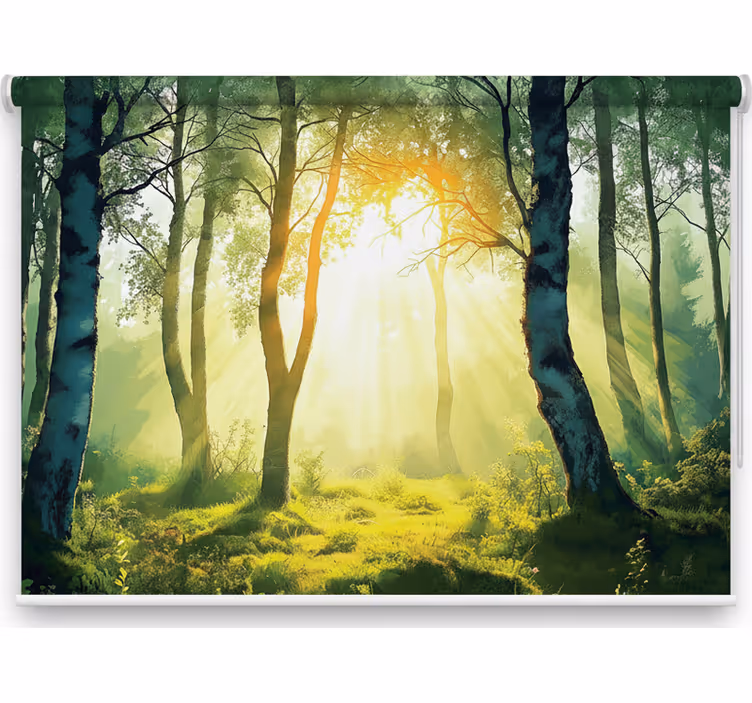 Store enrouleur arbre fresque bouleau ensoleillé - TenStickers