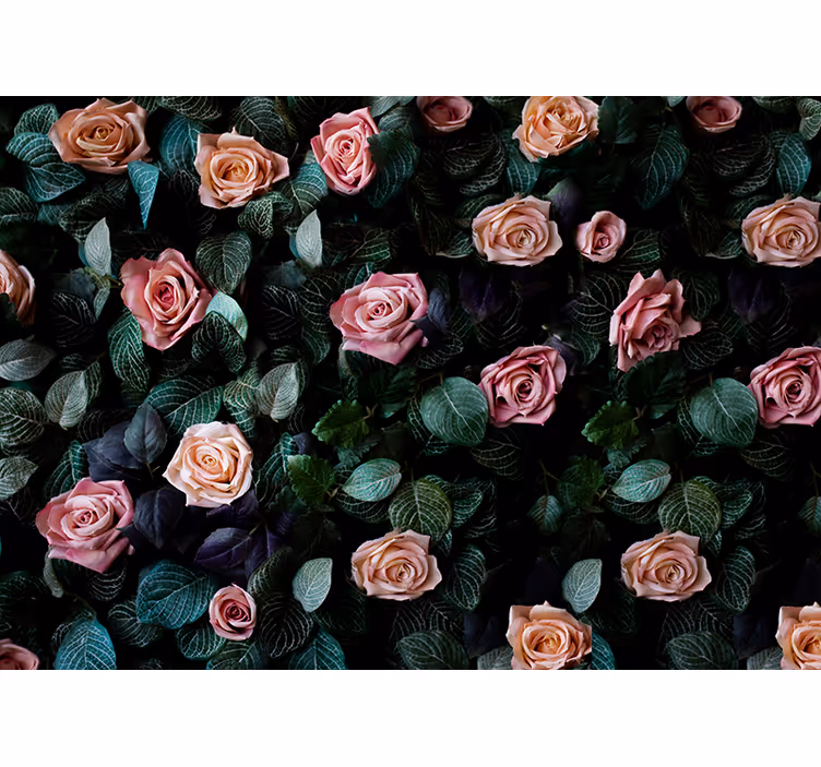 Store enrouleur cuisine roses corail pink - TenStickers