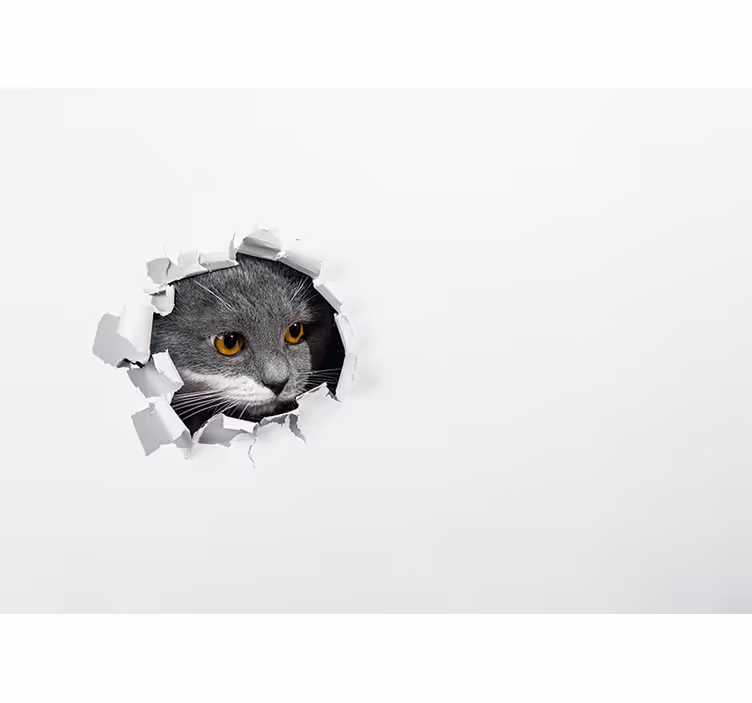 Store enrouleur blanc chat mignon - TenStickers