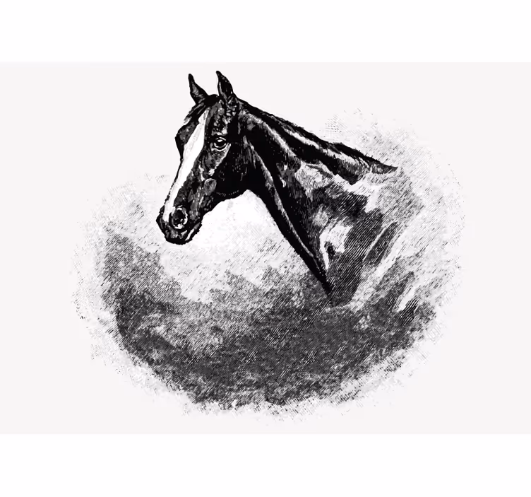 Store enrouleur blanc chevaux en graphite - TenStickers
