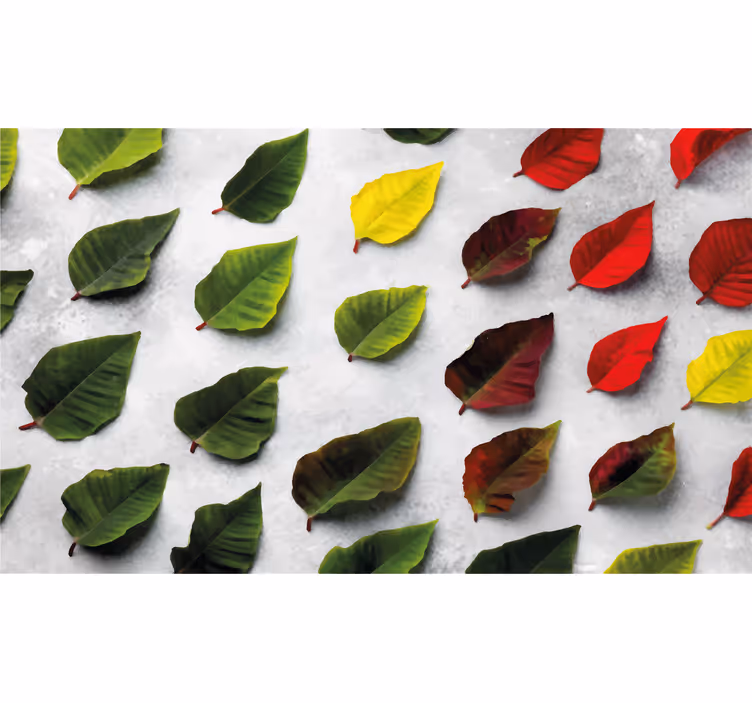 Store enrouleur salon vue de dessus feuilles colorées - TenStickers