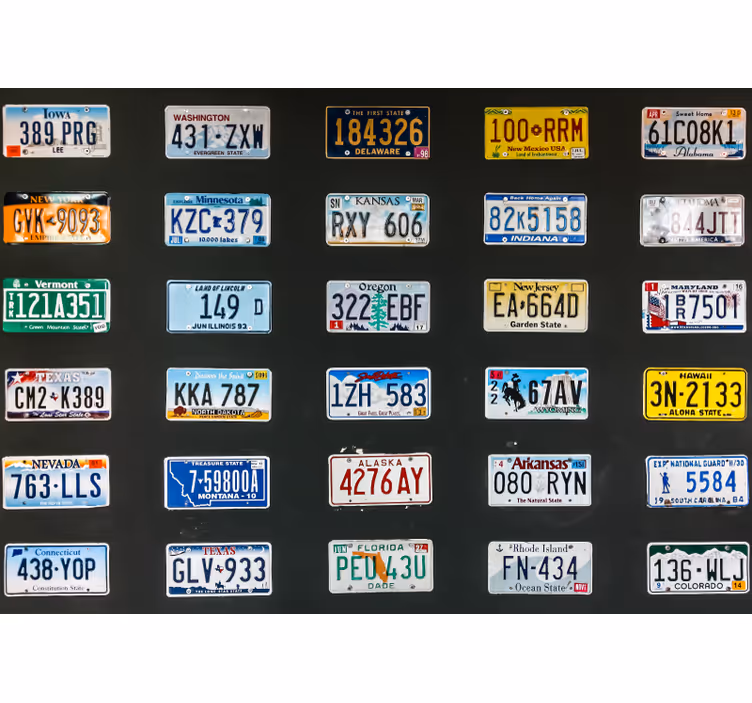 Store enrouleur noir plaques d'immatriculation - TenStickers