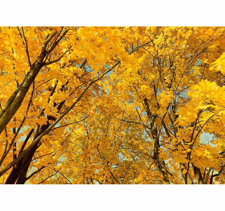 Store enrouleur jaune feuilles d'automne jaunes - TenStickers