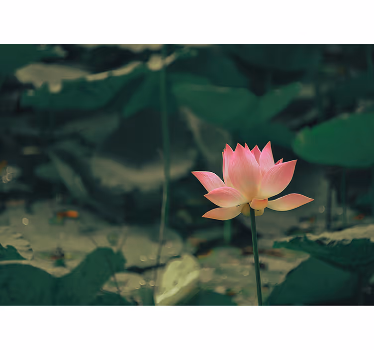Store enrouleur vert fleur rose - TenStickers