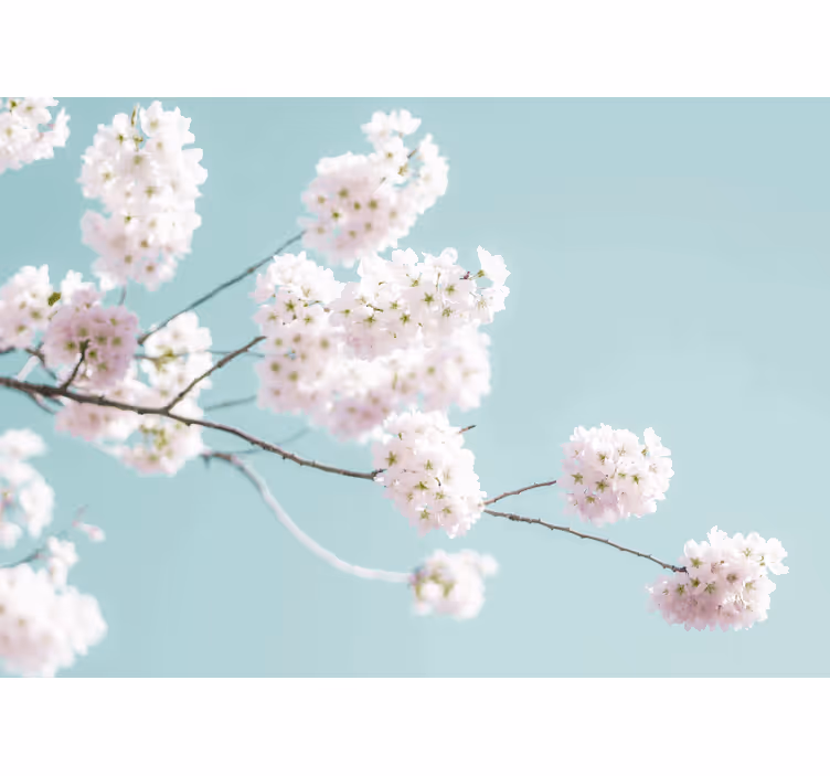 Store enrouleur salon design floral blanc élégant - TenStickers