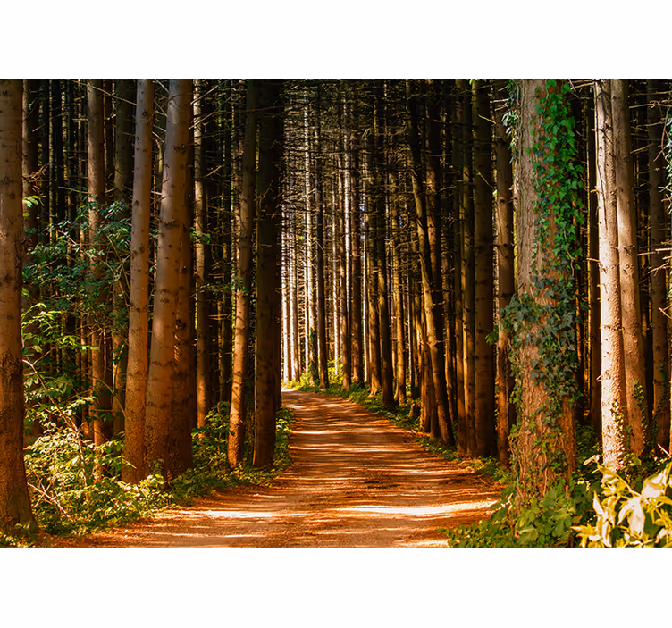 Store enrouleur salon chemin forestier 3d - TenStickers