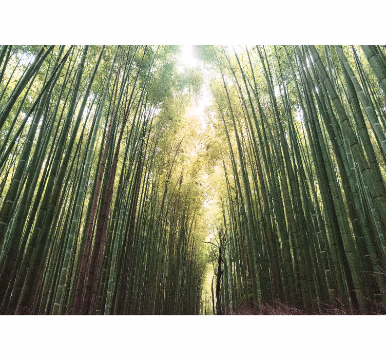 Store enrouleur salon forêt de bambou zen - TenStickers