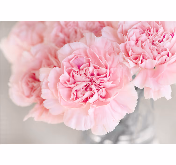 Store enrouleur salon nombreux œillets roses fond gris - TenStickers