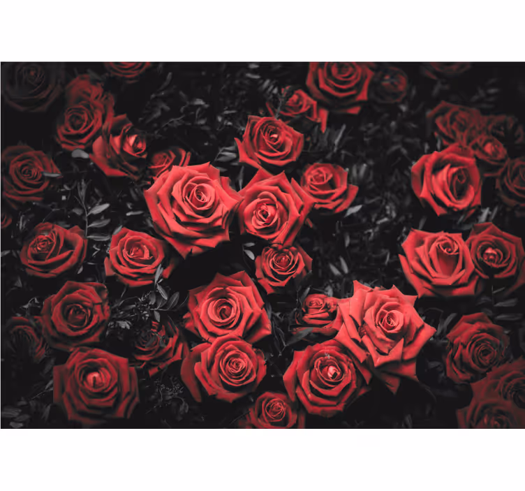Store enrouleur salon noir et blanc avec roses rouges - TenStickers