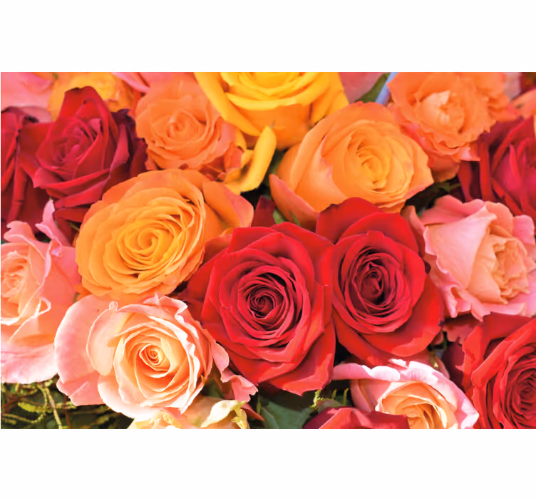 Store enrouleur salon roses et fleurs différentes - TenStickers