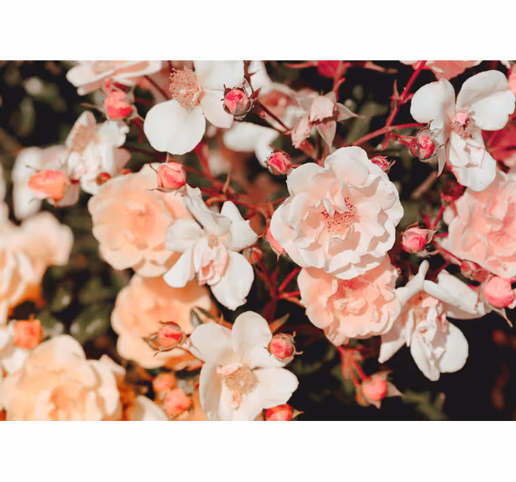 Store enrouleur salon avec plein de fleurs - TenStickers