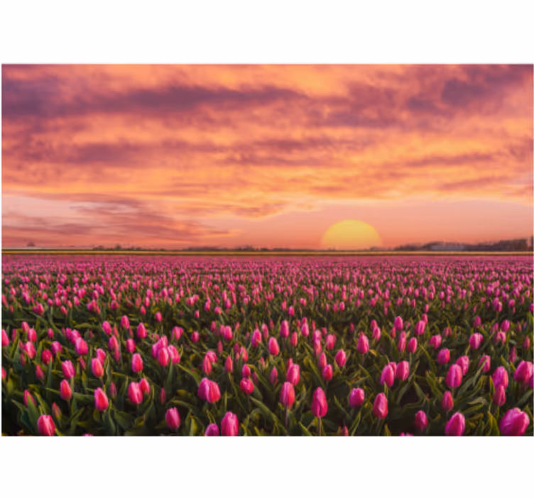 Store enrouleur salon lever de soleil et tulipes - TenStickers