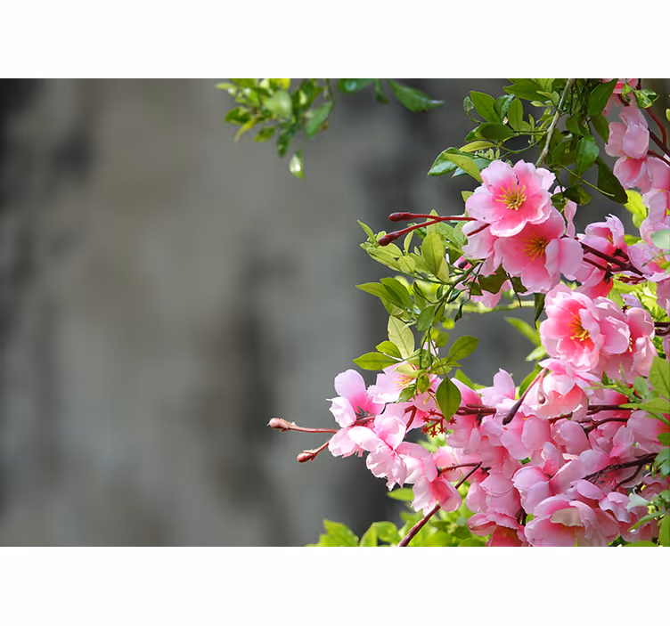 Store enrouleur salon fleurs roses 3d - TenStickers