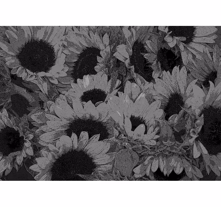 Store enrouleur salon tournesol noir et blanc - TenStickers