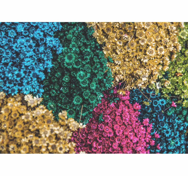 Store enrouleur salon fleurs de marguerite arc-en-ciel - TenStickers