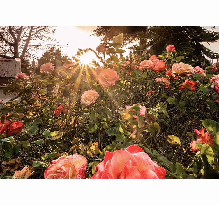 Store enrouleur salon floral cottagecore du soir - TenStickers