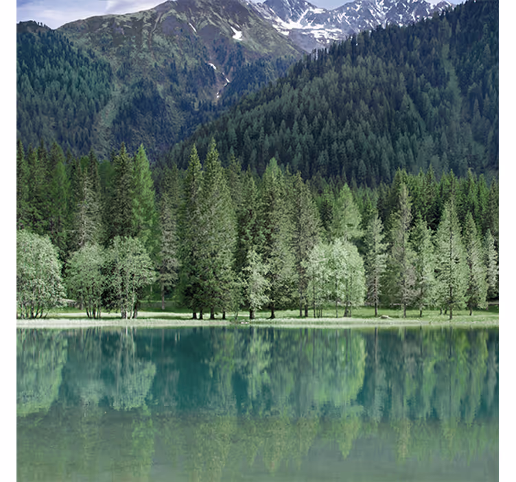 Store enrouleur salon lac verdoyant nature - TenStickers