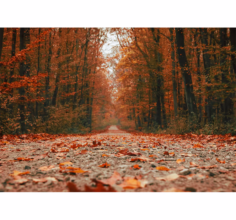 Store enrouleur salon feuilles d'automne colorées - TenStickers
