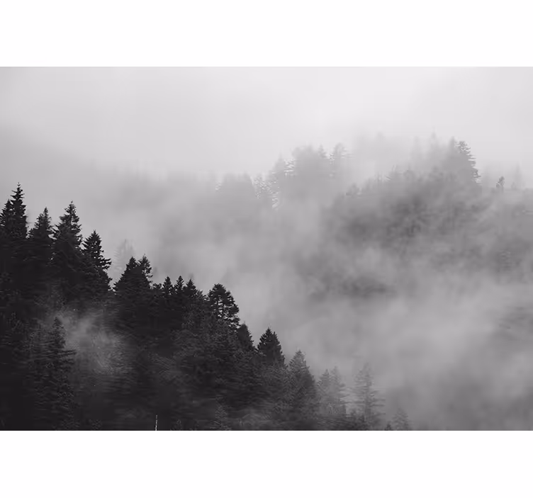 Store enrouleur gris forêt brumeuse en noir et blanc - TenStickers