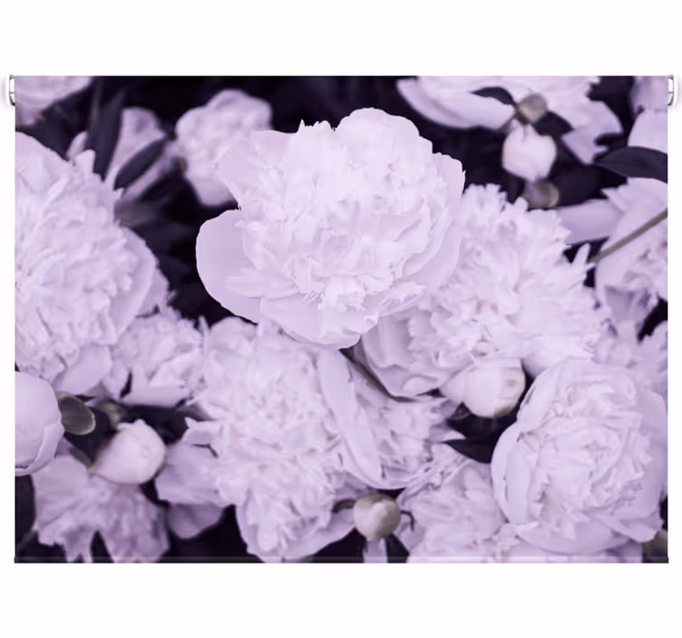 Store enrouleur salon pivoines roses élégantes féminines - TenStickers