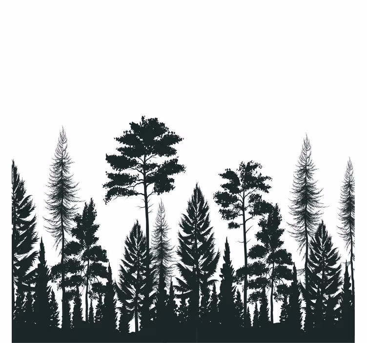 Store enrouleur salon silhouette de sapins - TenStickers