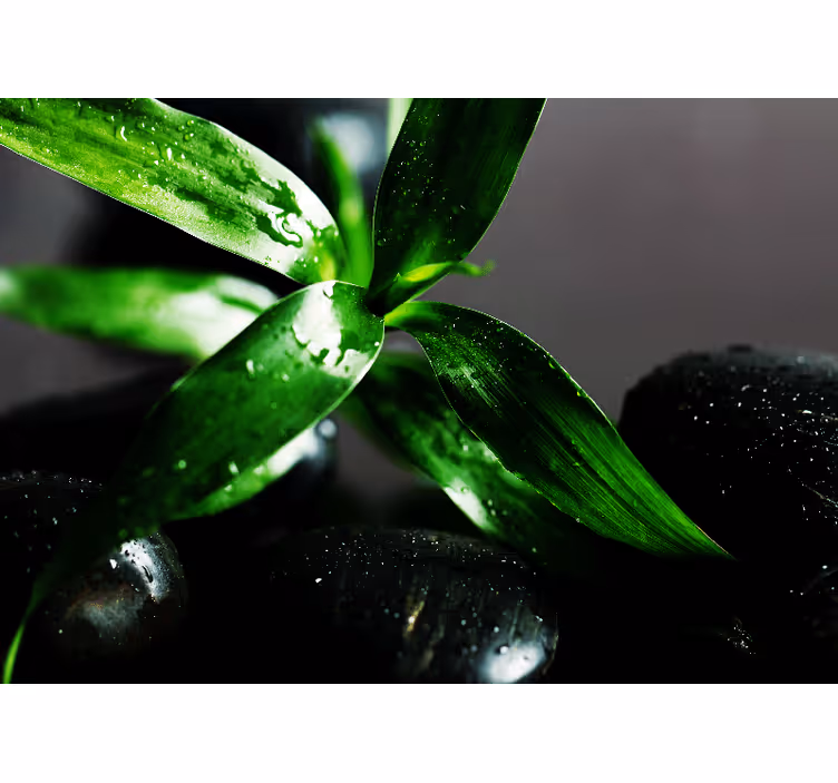 Store enrouleur chambre pierres noires zen sur l'eau - TenStickers