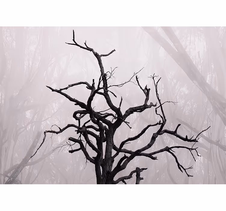 Store enrouleur chambre branches d'arbres en brouillard - TenStickers