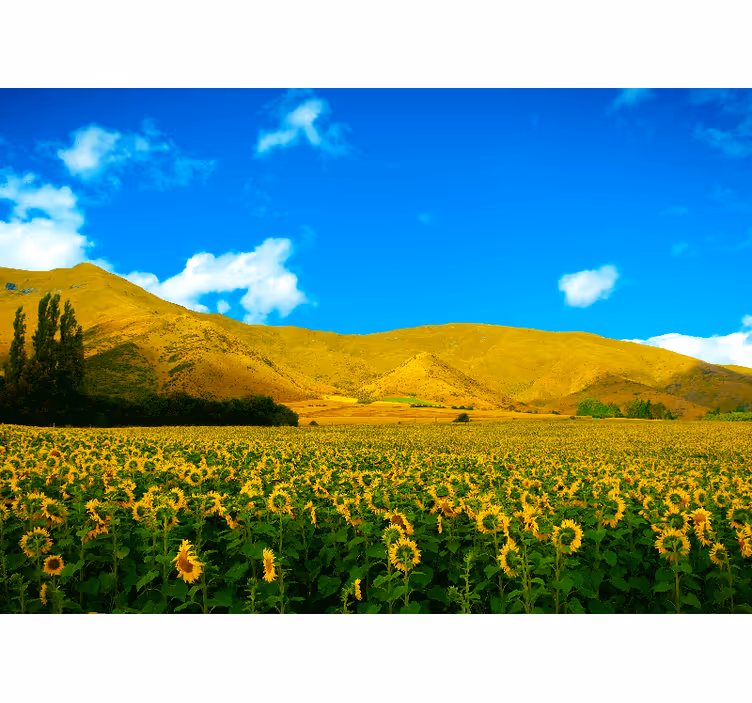 Store enrouleur chambre paysage printanier agricole - TenStickers