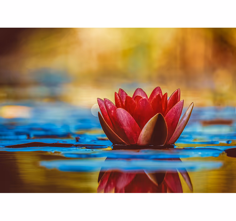 Store enrouleur chambre fleur de lotus zen réfléchie - TenStickers