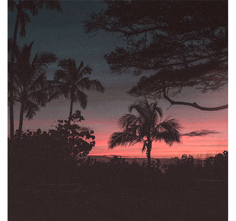 Store enrouleur salon arbres ciel rose coucher de soleil - TenStickers
