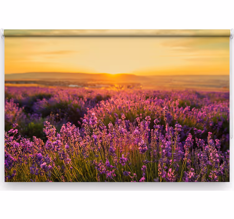 Store enrouleur chambre panoramique provence - TenStickers