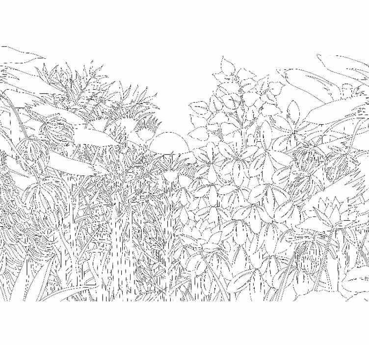 Store enrouleur chambre croquis de jungle tropicale - TenStickers
