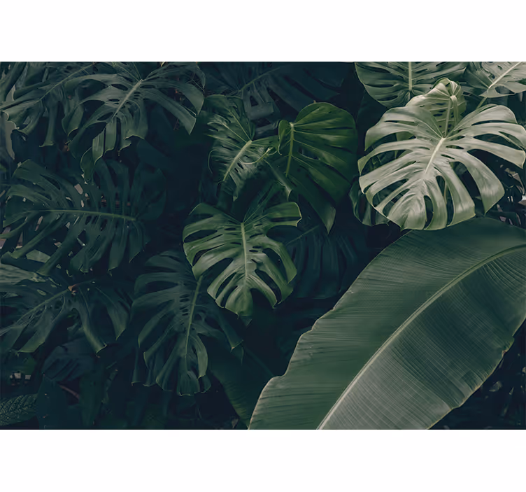Store enrouleur chambre forêt jungle verte magnifique - TenStickers