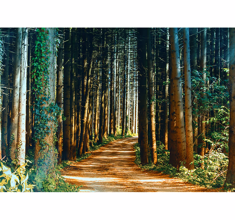 Store enrouleur chambre chemin naturel avec arbres - TenStickers