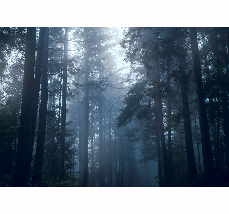 Store enrouleur chambre forêt brumeuse arbre - TenStickers