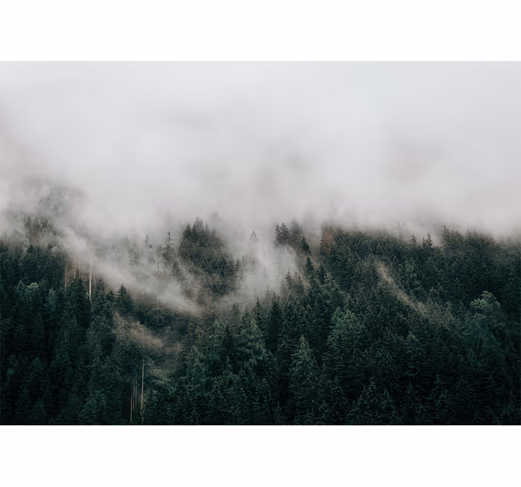 Store enrouleur chambre nuages brumeux en forêt - TenStickers