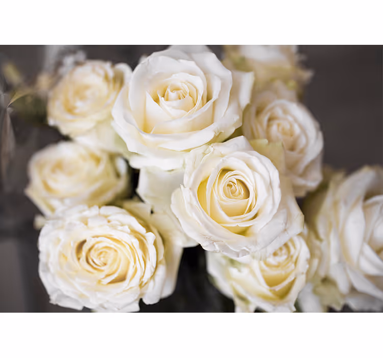 Store enrouleur blanc fond de roses blanches - TenStickers
