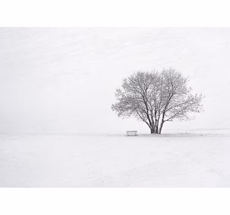 Store enrouleur blanc design arbre enneigé scandinave - TenStickers
