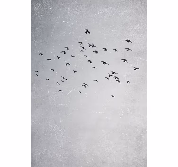 Store enrouleur chambre oiseaux en vol - TenStickers