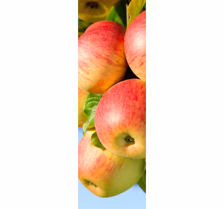 Store enrouleur cuisine pommes sur arbre décoratif - TenStickers
