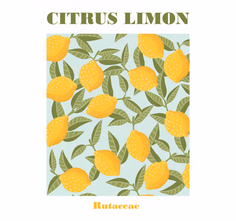 Store enrouleur cuisine fruit de citron - TenStickers