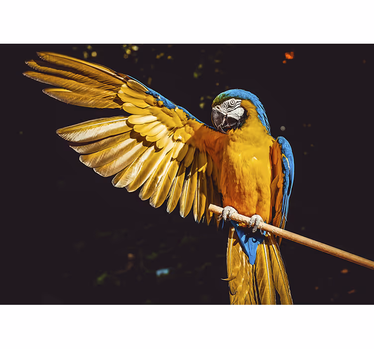 Store enrouleur chambre oiseaux tropicaux - TenStickers