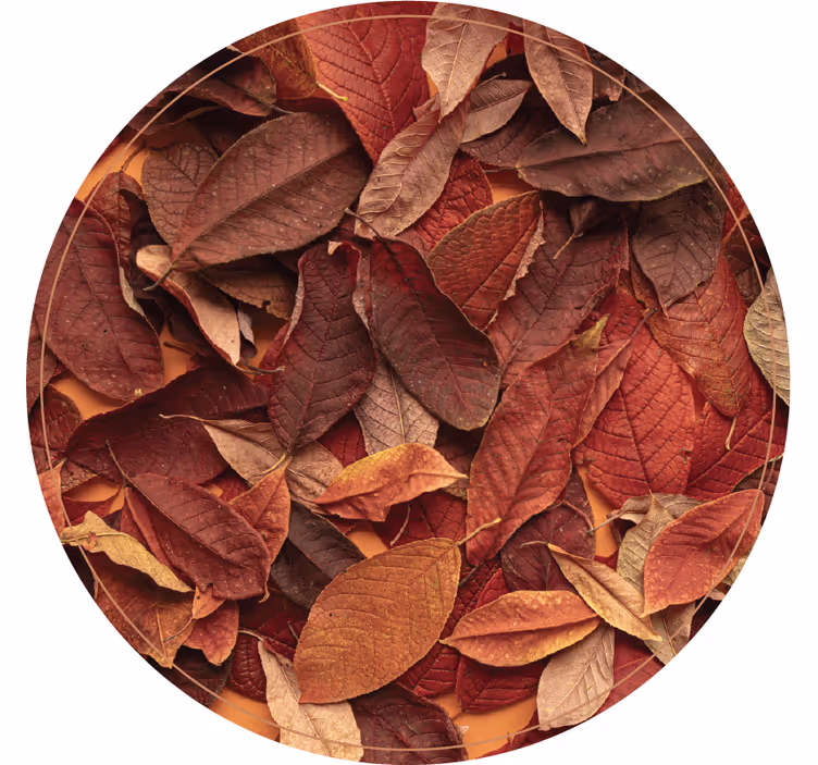 Store enrouleur chambre sol automnal sombre - TenStickers