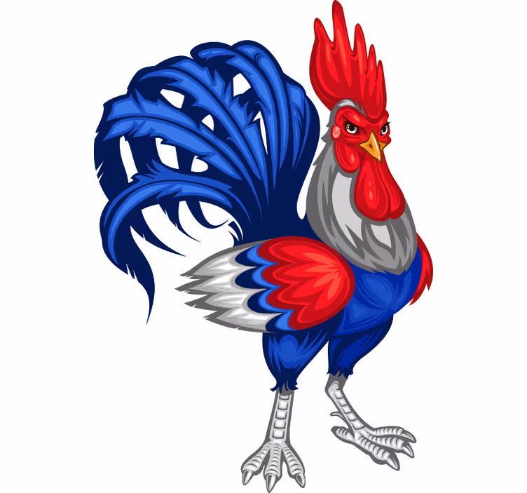 Store enrouleur chambre ado motif coq français - TenStickers