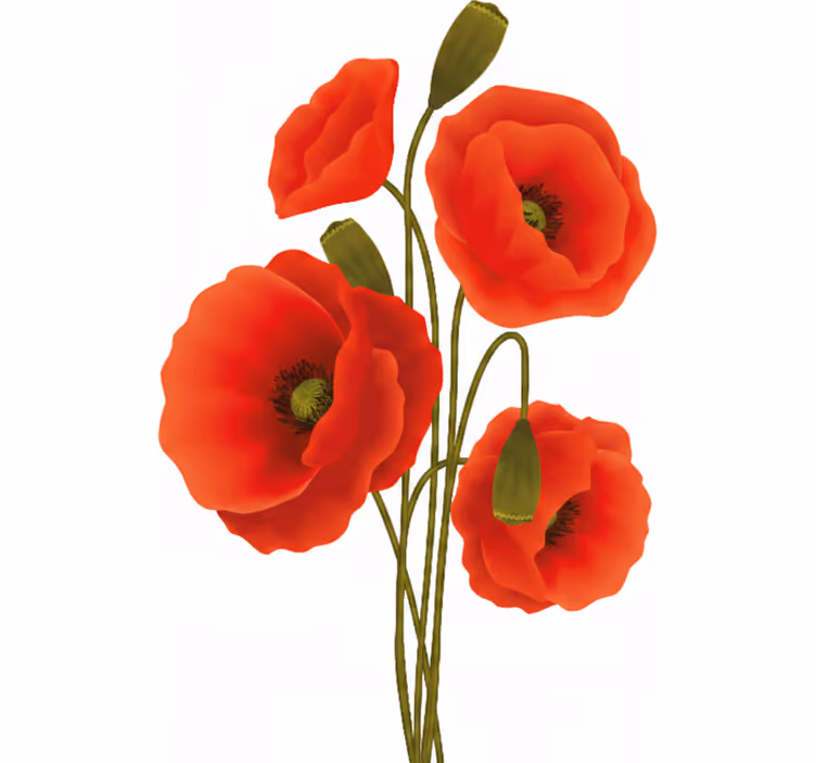 Store enrouleur fleur coquelicots - TenStickers